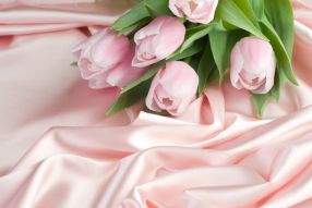 Фотообои Розовые тюльпаны с шелком
